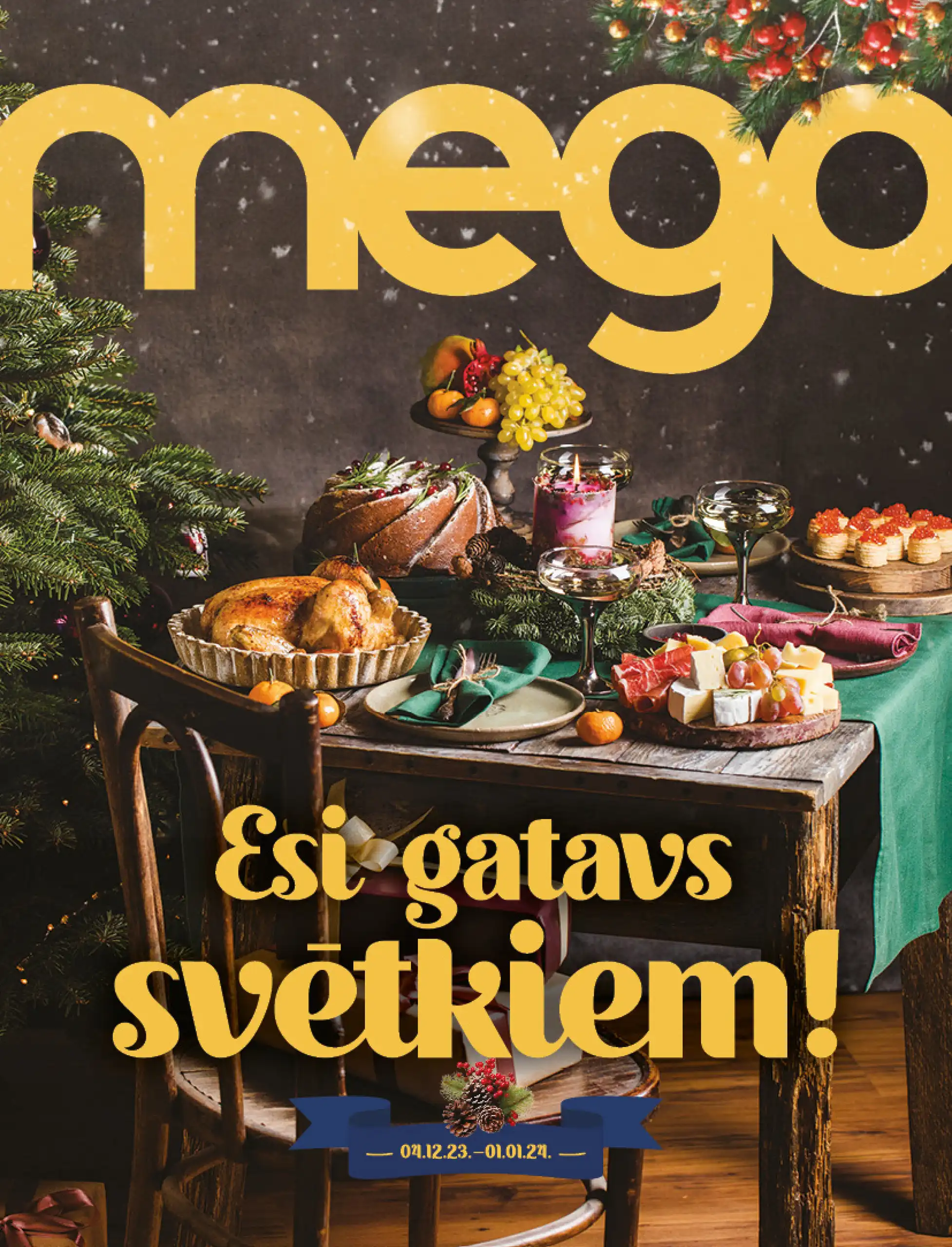 Mego 20-11-2023 16-39-31 Page 1