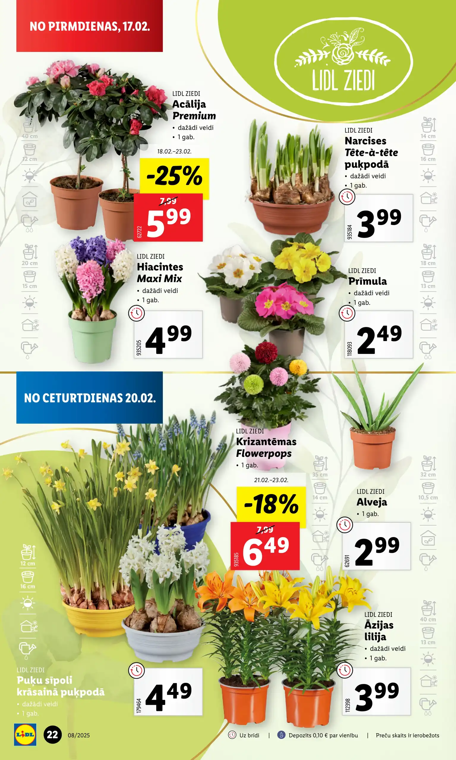 LIDL 17-02-2025-19-02-2025 Page 22