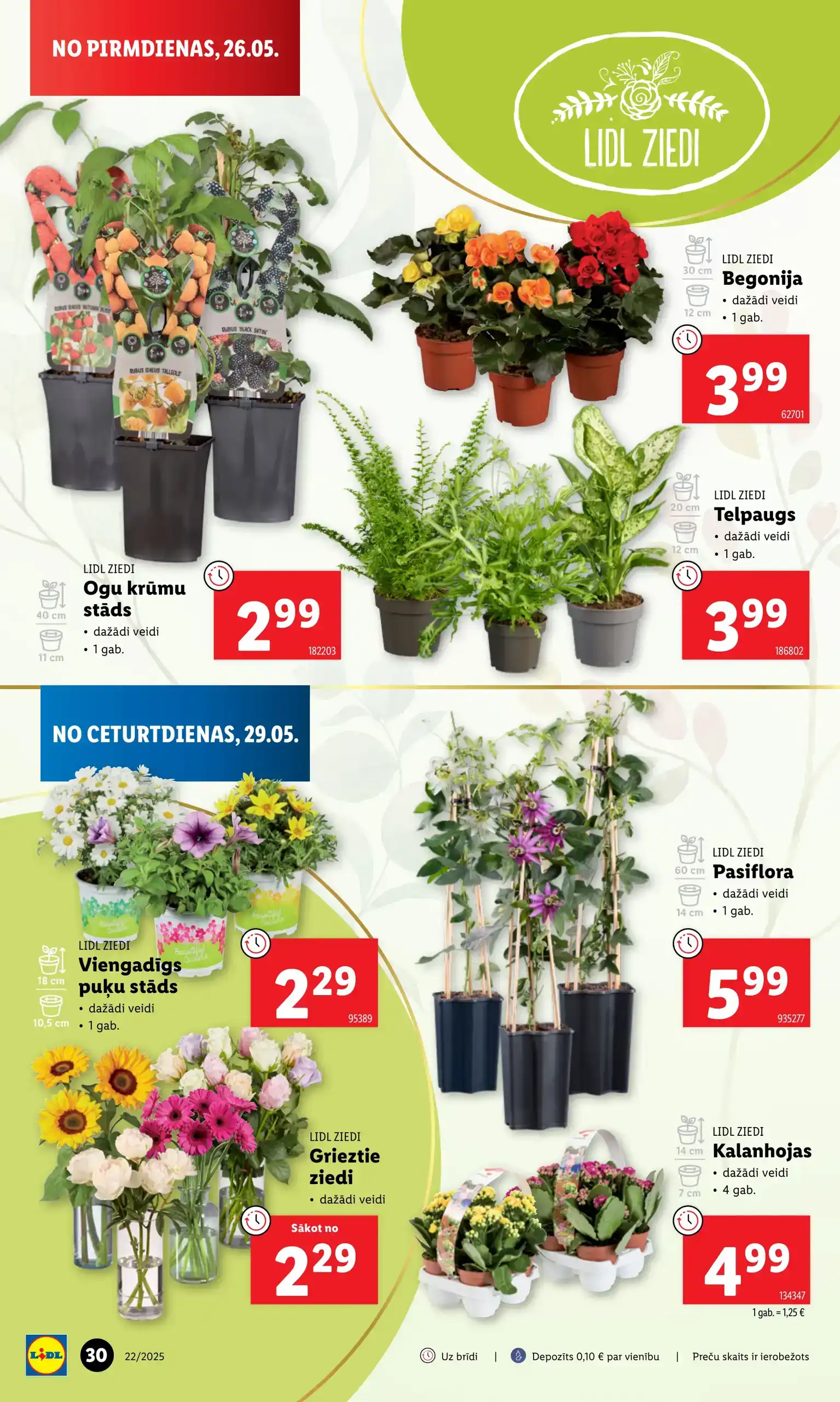 LIDL 26-05-2025-01-06-2025 Page 30