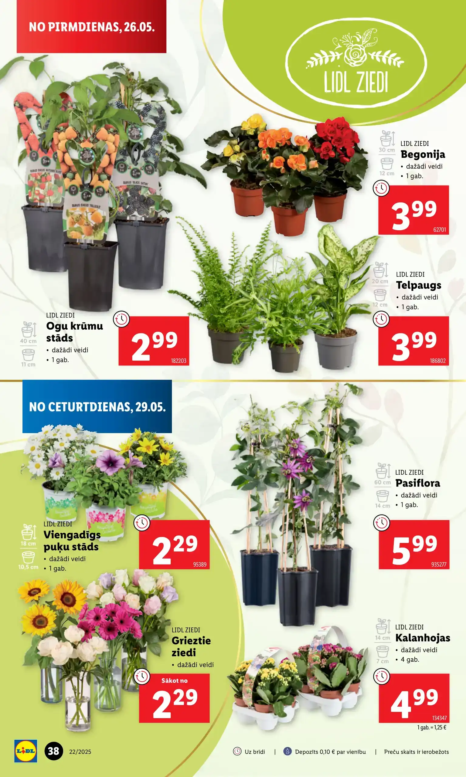 LIDL 29-05-2025-01-06-2025 Page 38