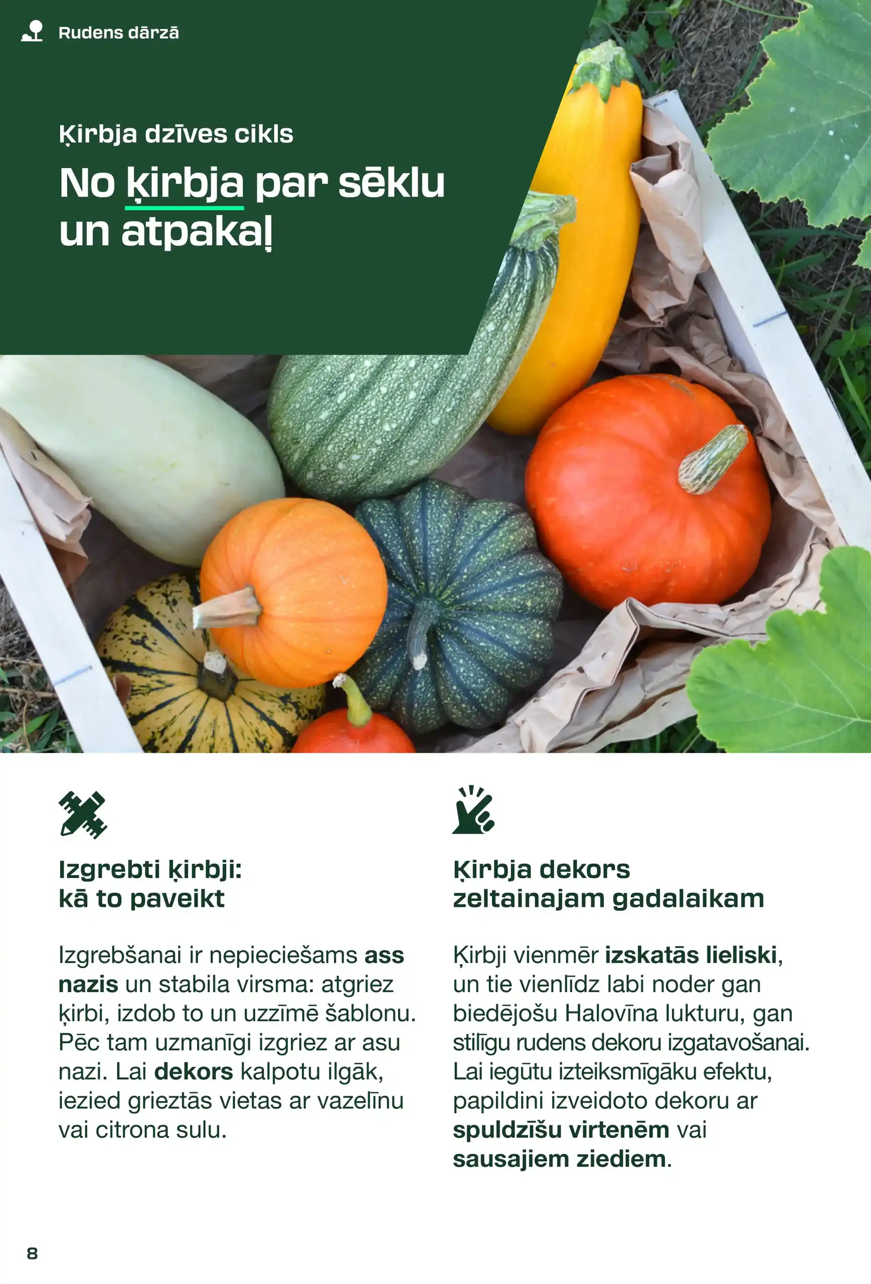 LIDL 31-08-2025-12-10-2025 Page 8