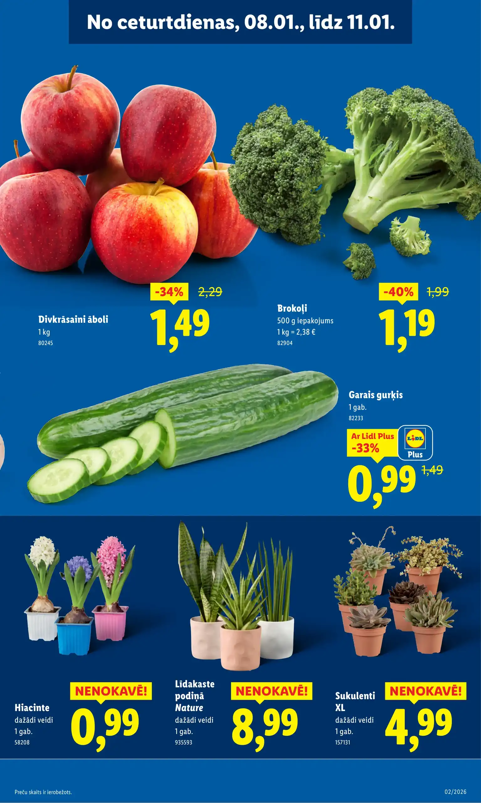 LIDL 05-01-2026-11-01-2026 Page 33