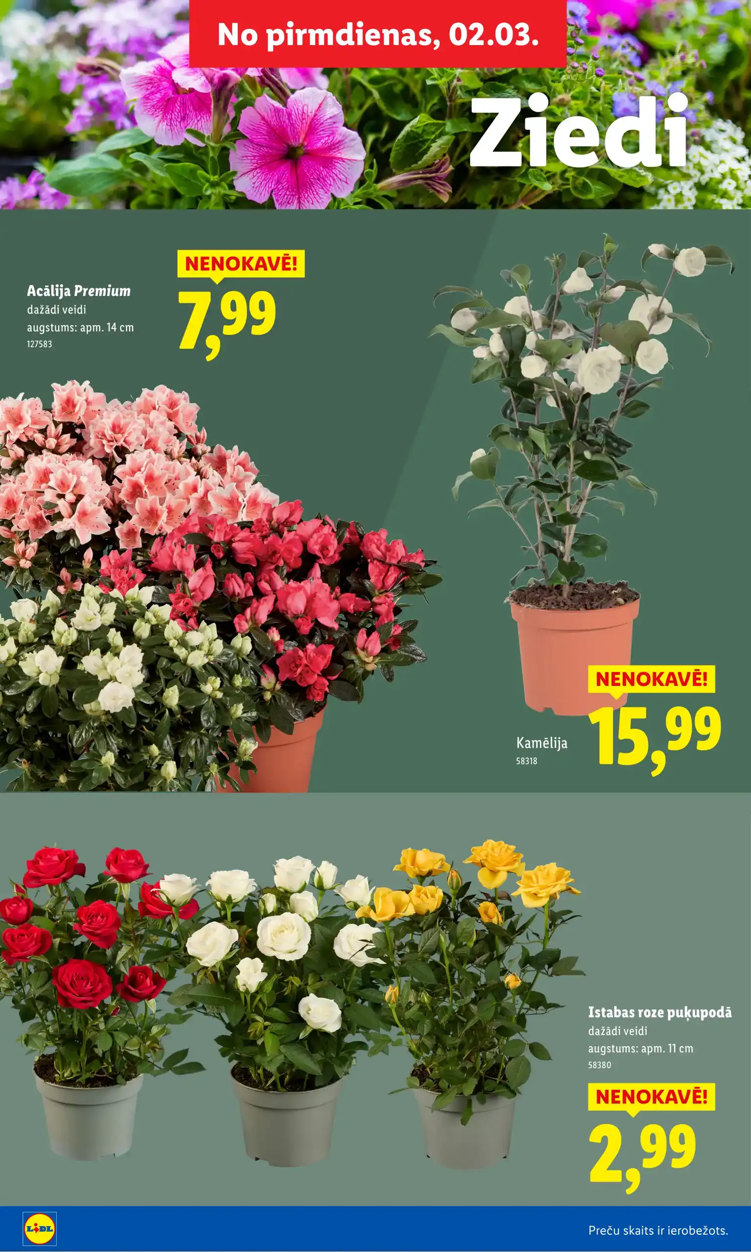 LIDL 16-02-2026-08-03-2026 Page 22