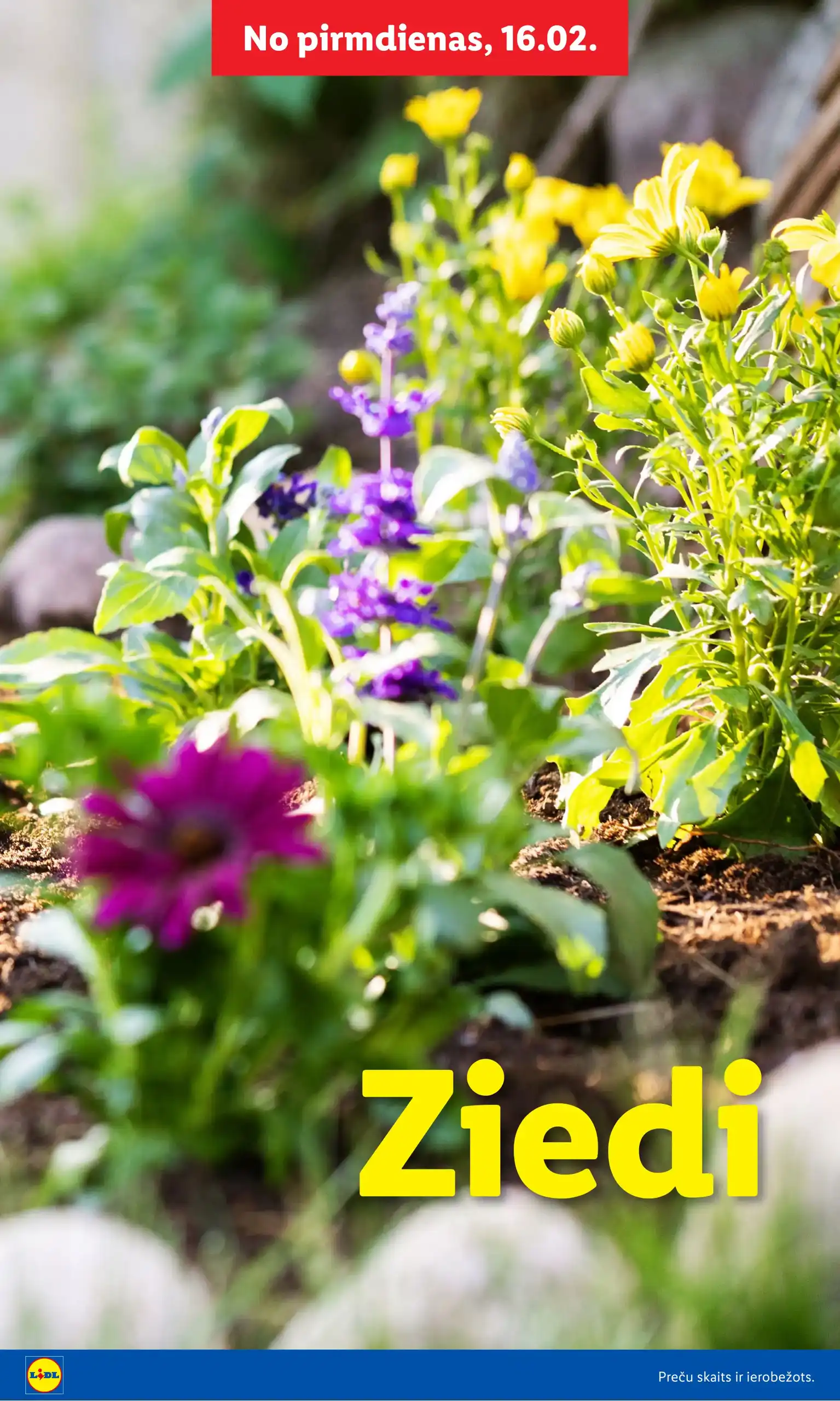 LIDL 16-02-2026-08-03-2026 Page 8