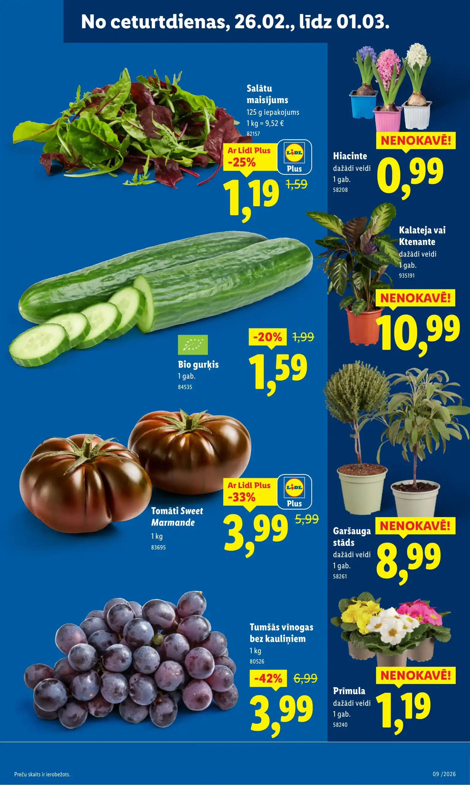 LIDL 23-02-2026-01-03-2026 Page 41