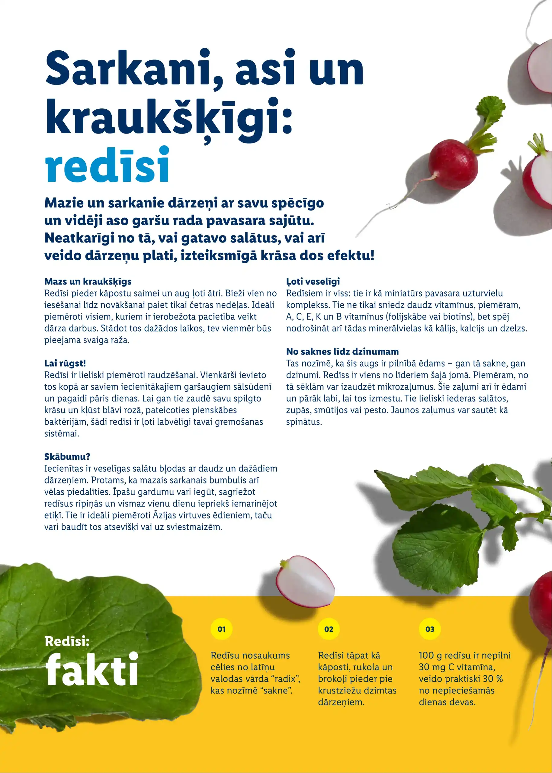 LIDL 23-02-2026-06-04-2026 Page 34