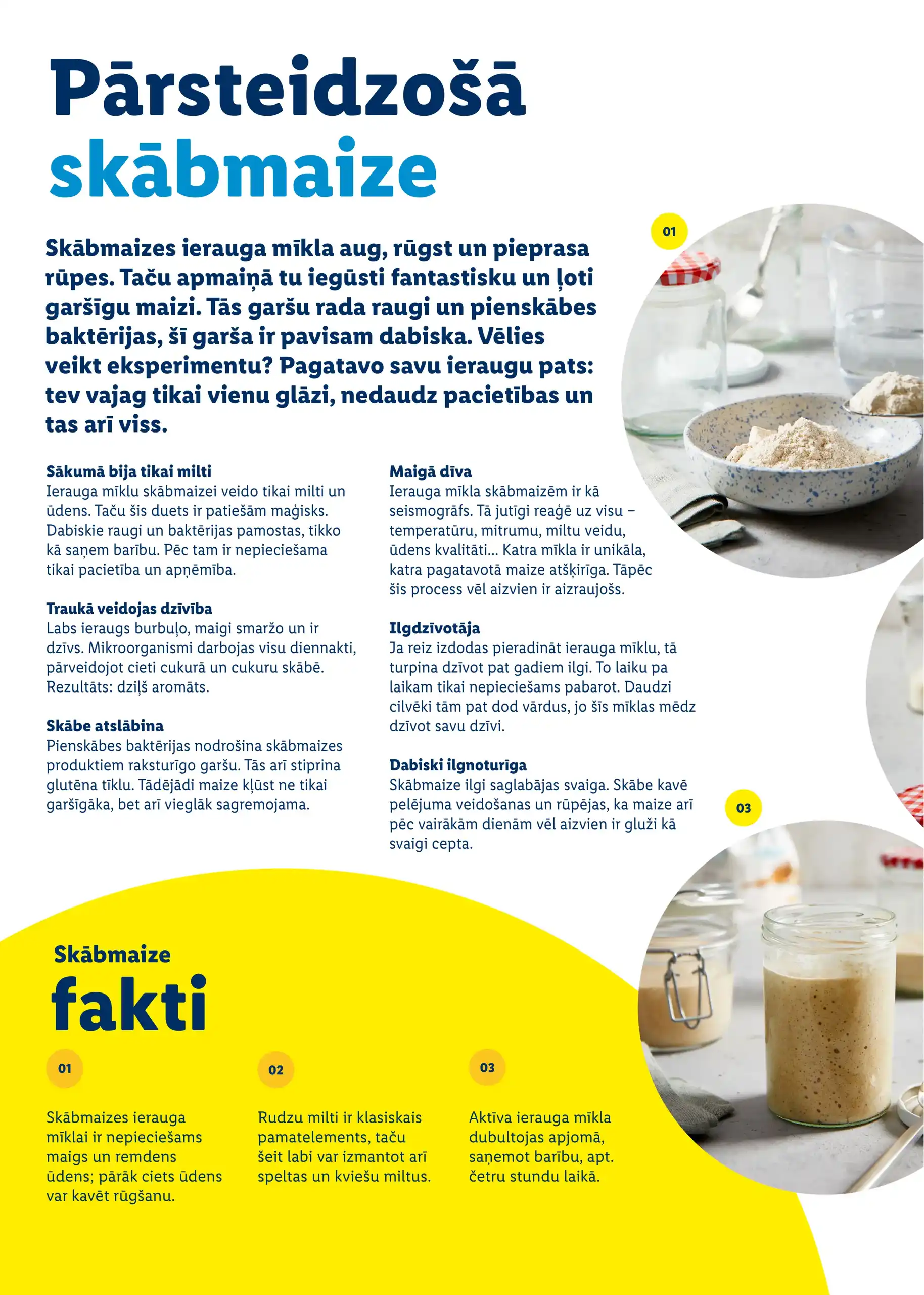 LIDL 23-02-2026-06-04-2026 Page 36