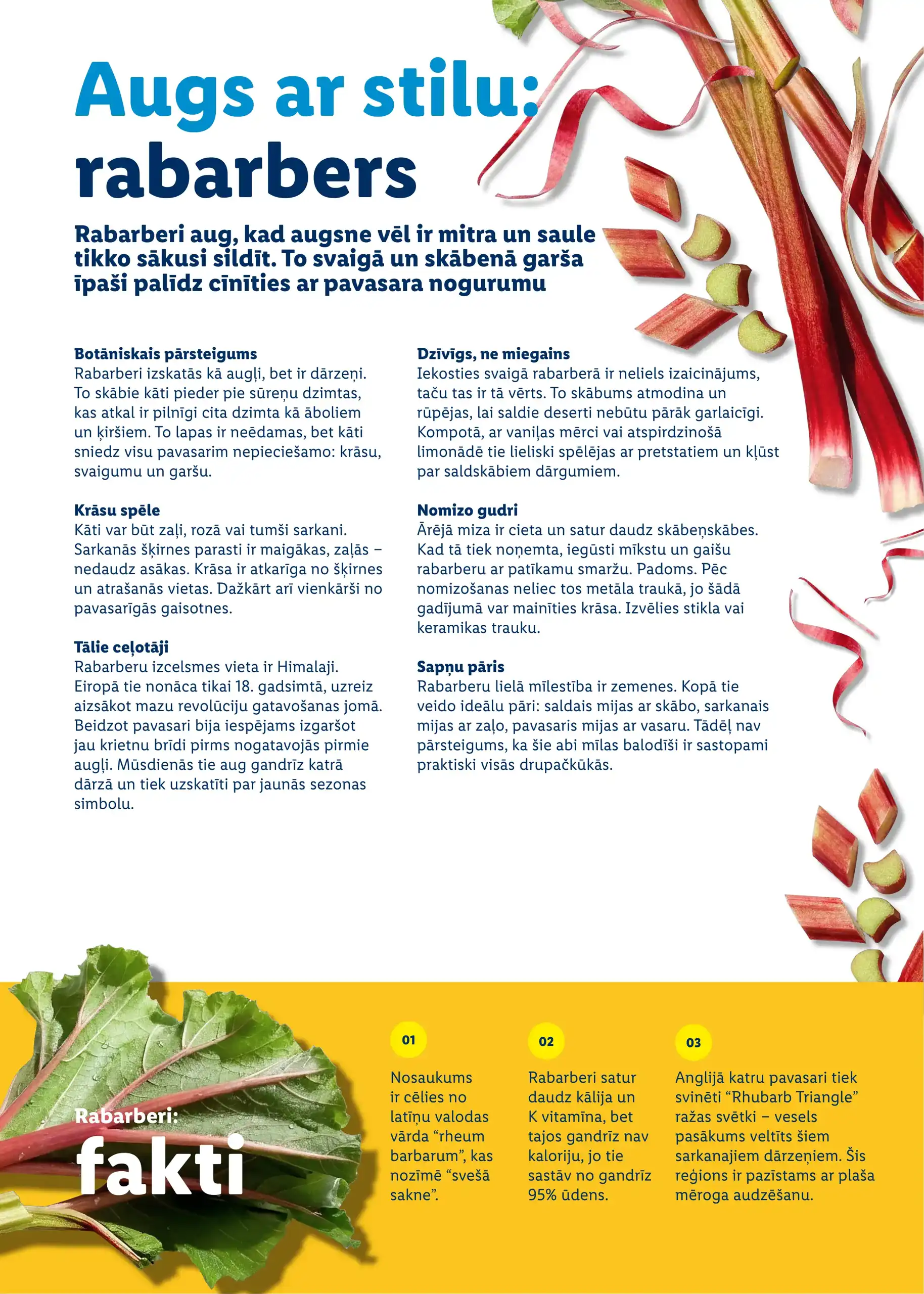 LIDL 23-02-2026-06-04-2026 Page 64