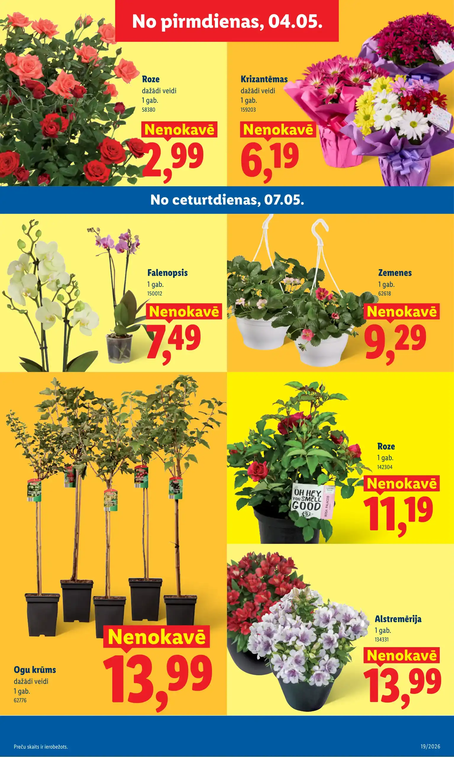 LIDL 04-05-2026-10-05-2026 Page 9