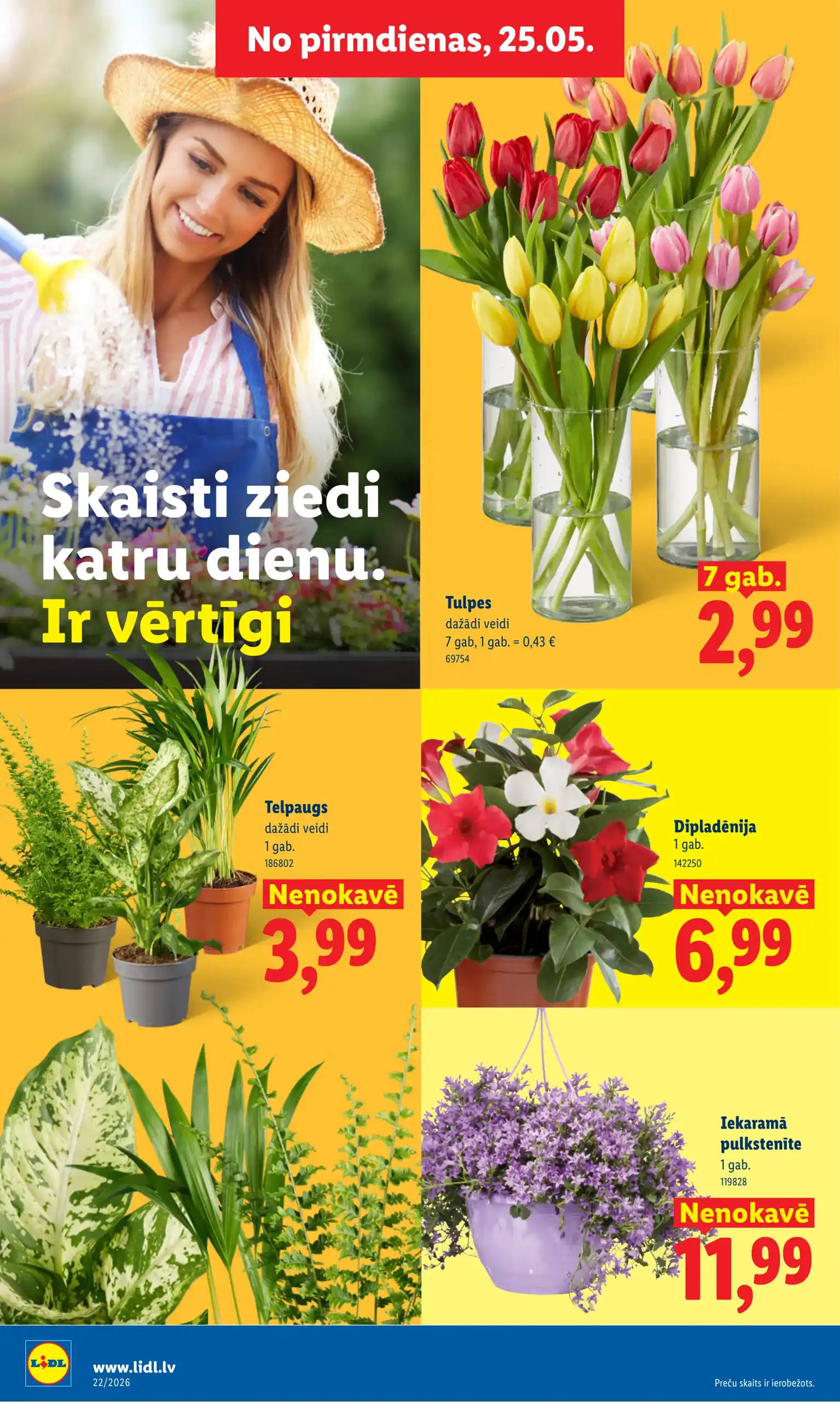 LIDL 25-05-2026-31-05-2026 Page 8